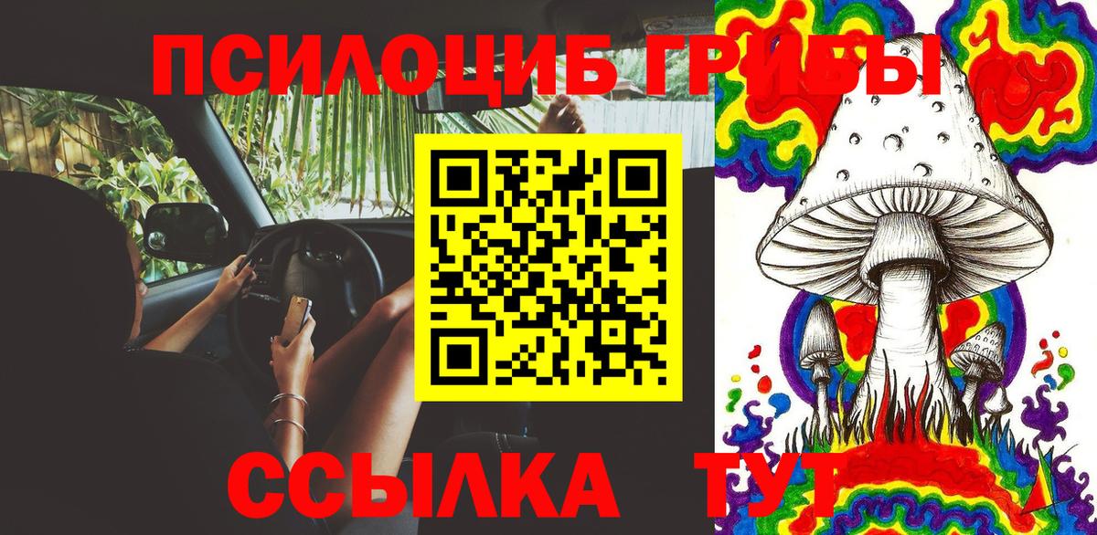 Псилоцибиновые грибы GOLDEN TEACHER Оренбург