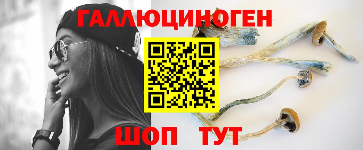 Псилоцибиновые грибы прущие грибы  Вход с VPN  Оренбург  Псилоцибиновые грибы Psilocybine cubensis 